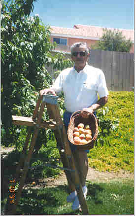 Dad, working in the back yard